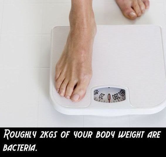 interesting facts about body
