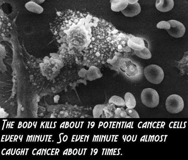 interesting facts about body
