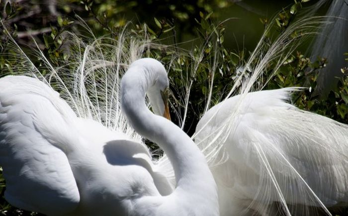 National Geographic traveler photo contest 2013