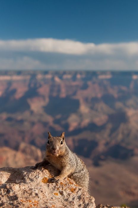 National Geographic traveler photo contest 2013