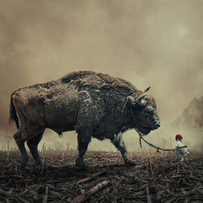 Photo manipulation by Caras Ionut