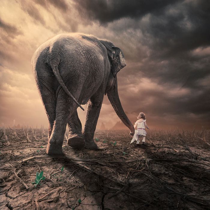 Photo manipulation by Caras Ionut