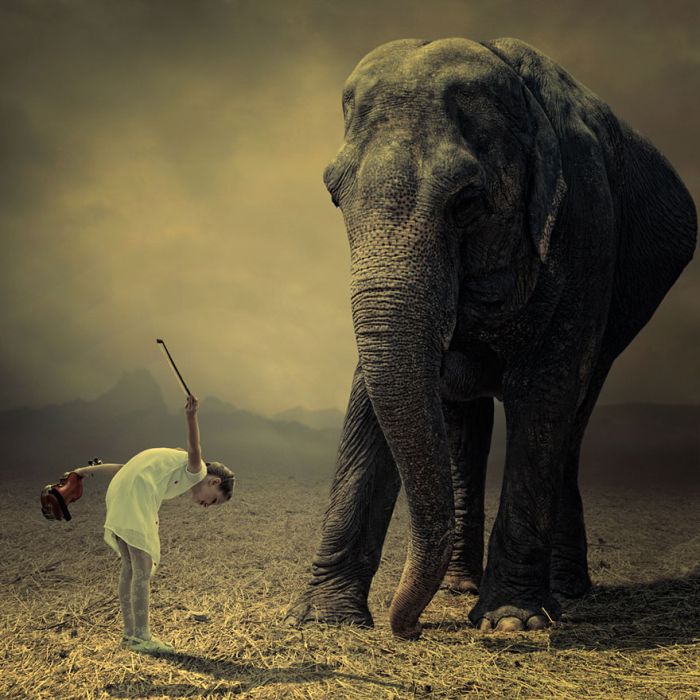 Photo manipulation by Caras Ionut