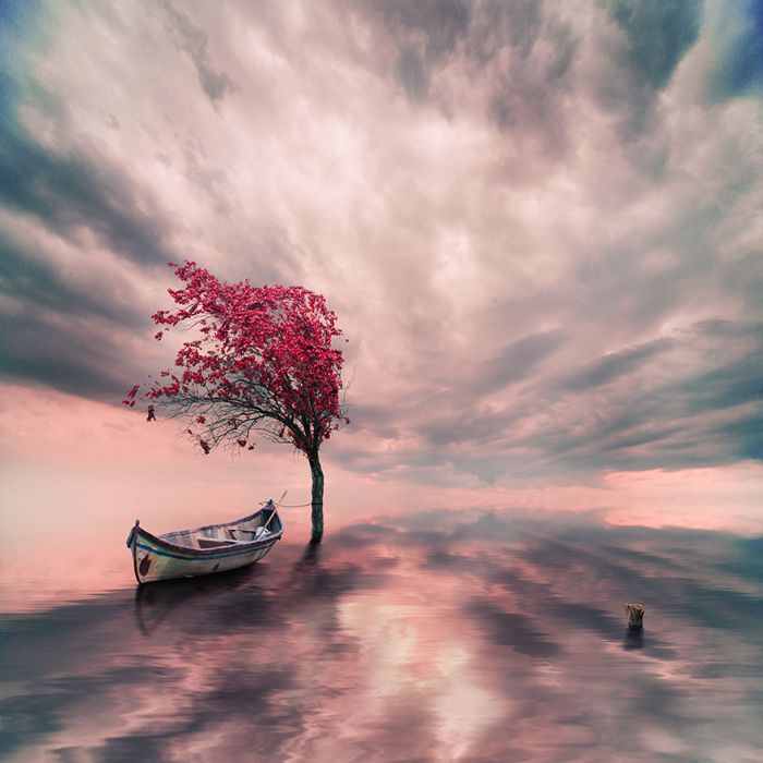 Photo manipulation by Caras Ionut