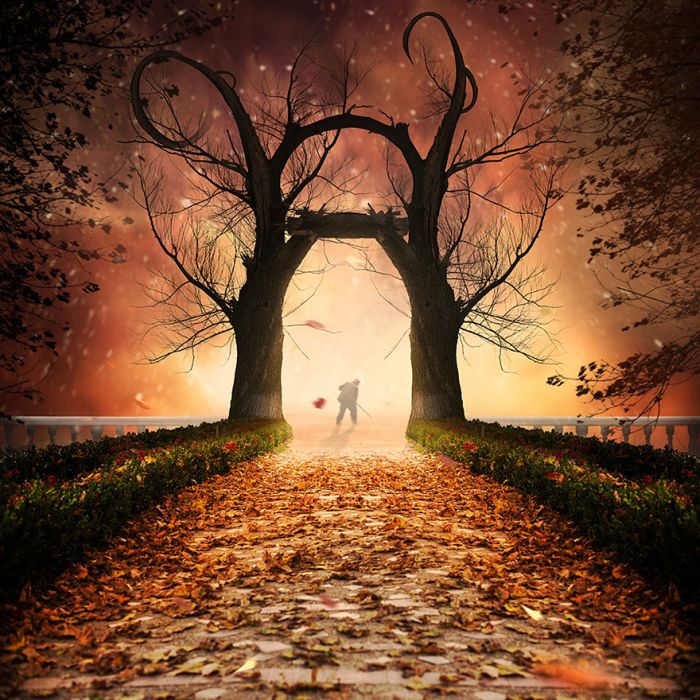 Photo manipulation by Caras Ionut