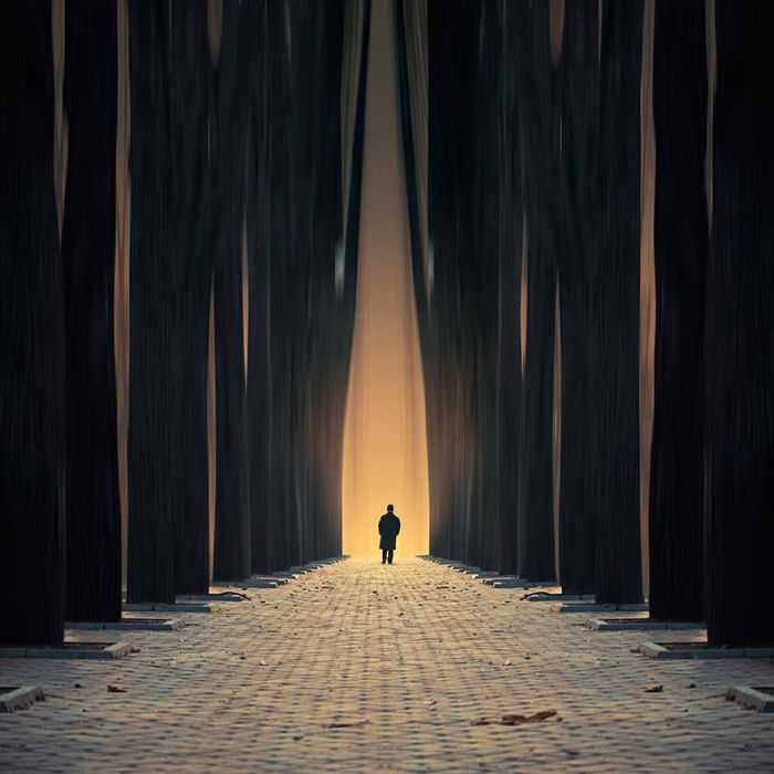 Photo manipulation by Caras Ionut