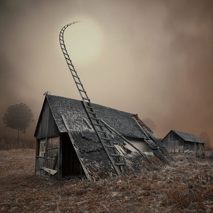 Photo manipulation by Caras Ionut
