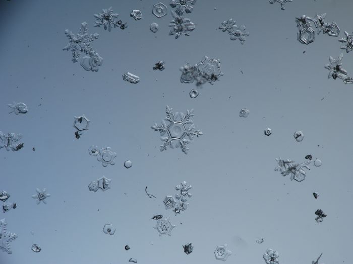 Snowflakes macro photography by Alexey Kljatov