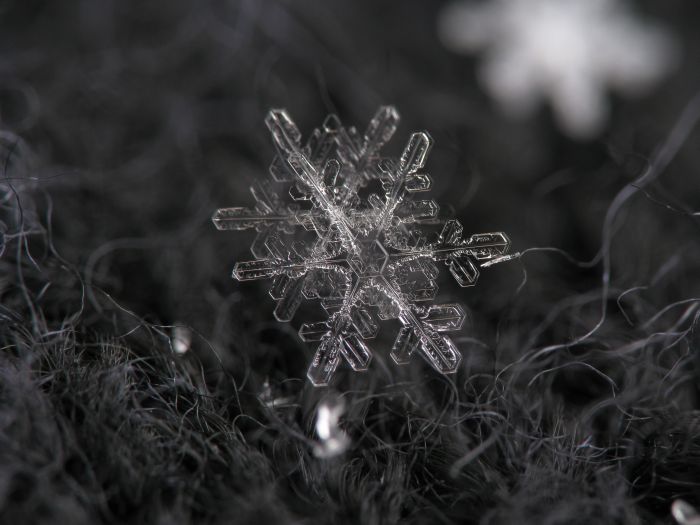 Snowflakes macro photography by Alexey Kljatov