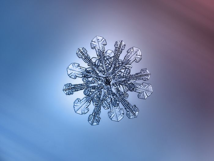 Snowflakes macro photography by Alexey Kljatov