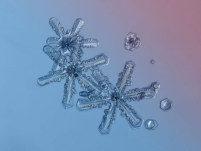 Snowflakes macro photography by Alexey Kljatov