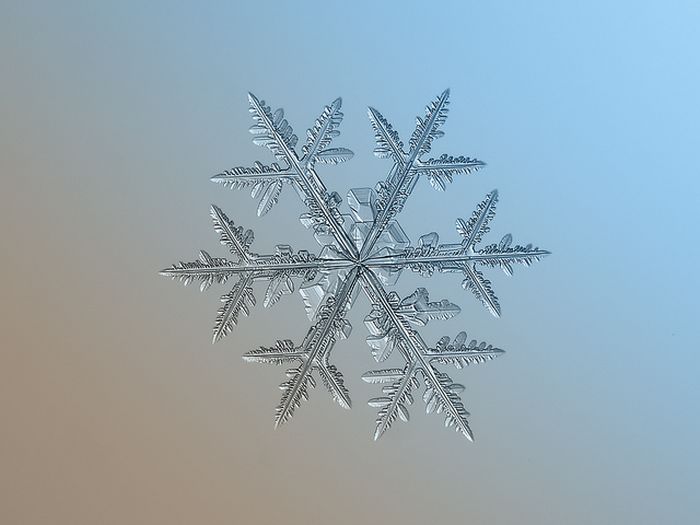 Snowflakes macro photography by Alexey Kljatov