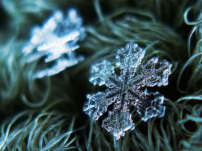 Snowflakes macro photography by Alexey Kljatov