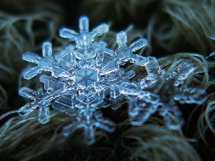 Snowflakes macro photography by Alexey Kljatov
