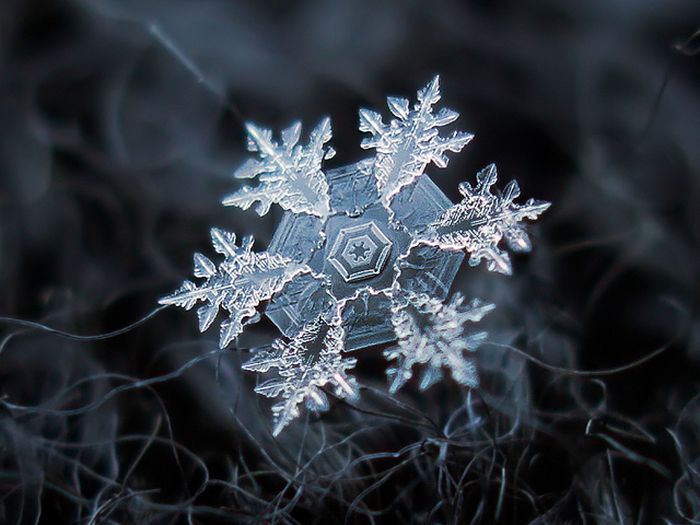 Snowflakes macro photography by Alexey Kljatov