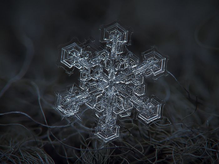 Snowflakes macro photography by Alexey Kljatov