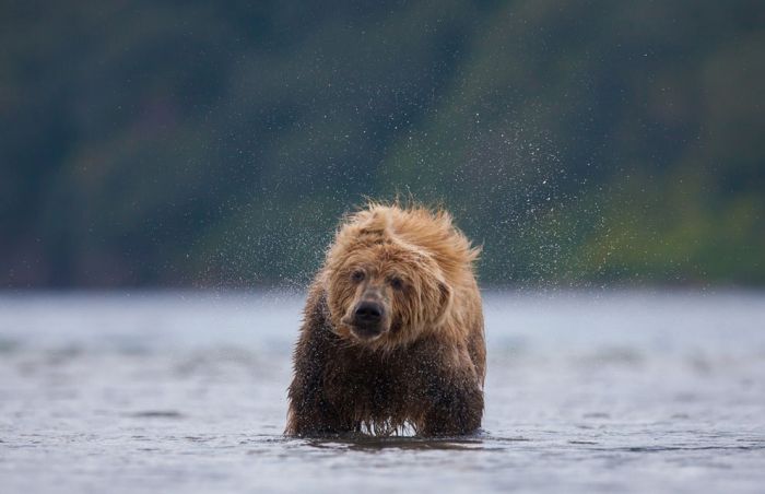 National Geographic Photo Contest 2013