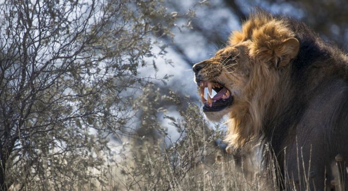 National Geographic Photo Contest 2013