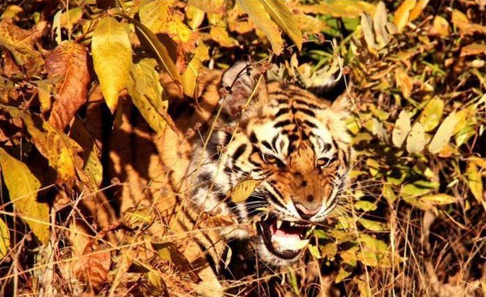 National Geographic Photo Contest 2013
