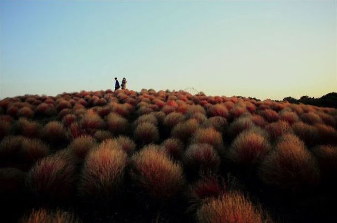 National Geographic Photo Contest 2013