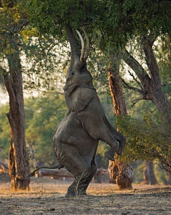 National Geographic Photo Contest 2013