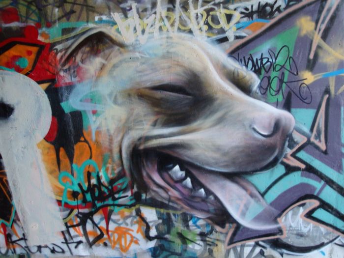 Street art graffiti by Owen Dippie