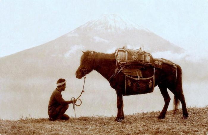 History: Samurai portrait