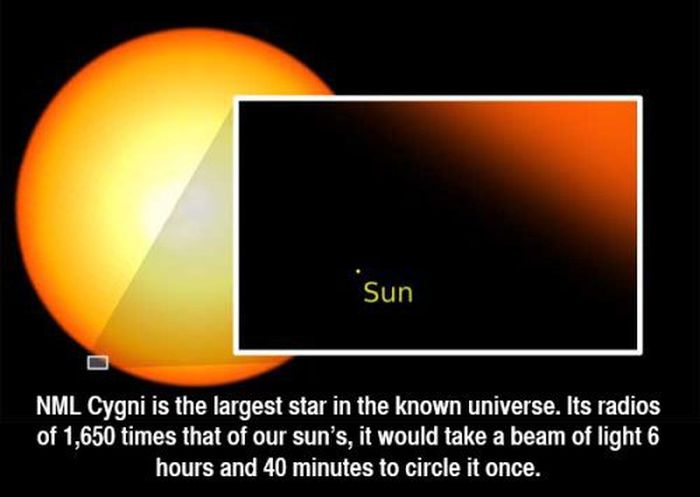 interesting facts about universe