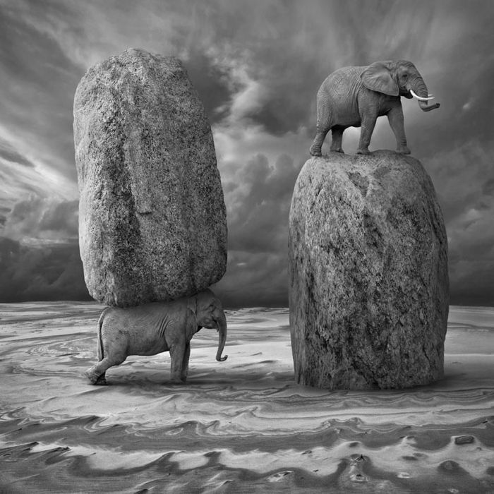 Surreal photography manipulations by Dariusz Klimczak