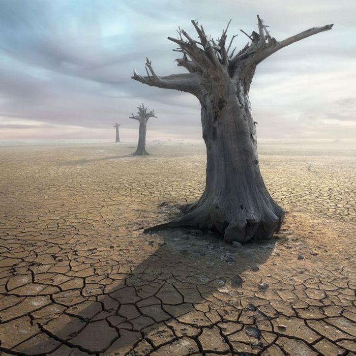 Surreal photography manipulations by Dariusz Klimczak