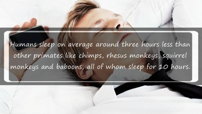 interesting facts about sleeping