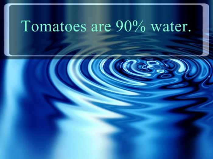 interesting facts about water