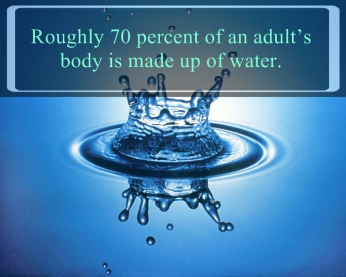 interesting facts about water