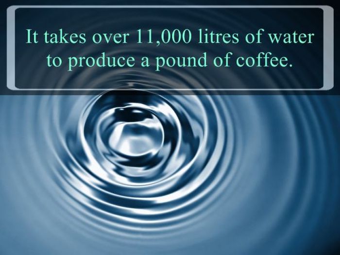 interesting facts about water