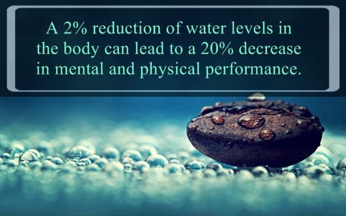 interesting facts about water