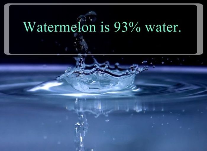 interesting facts about water