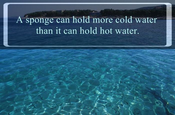 interesting facts about water