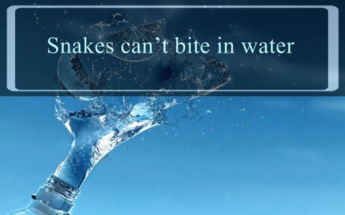 interesting facts about water