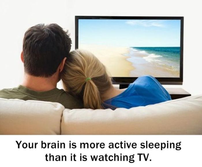 interesting facts