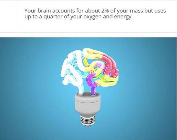 interesting facts about brain