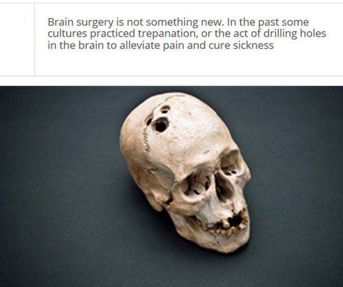 interesting facts about brain