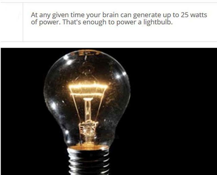 interesting facts about brain