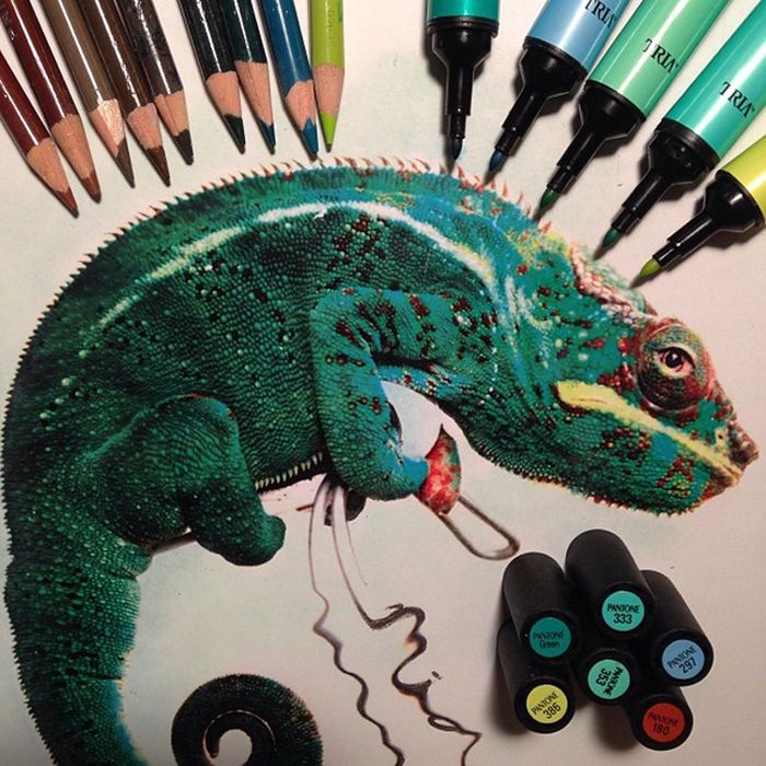 Photorealistic drawing illustrations and tools by Karla Mialynne