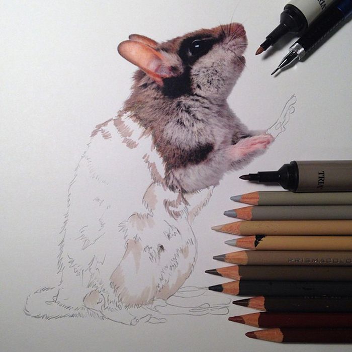 Photorealistic drawing illustrations and tools by Karla Mialynne