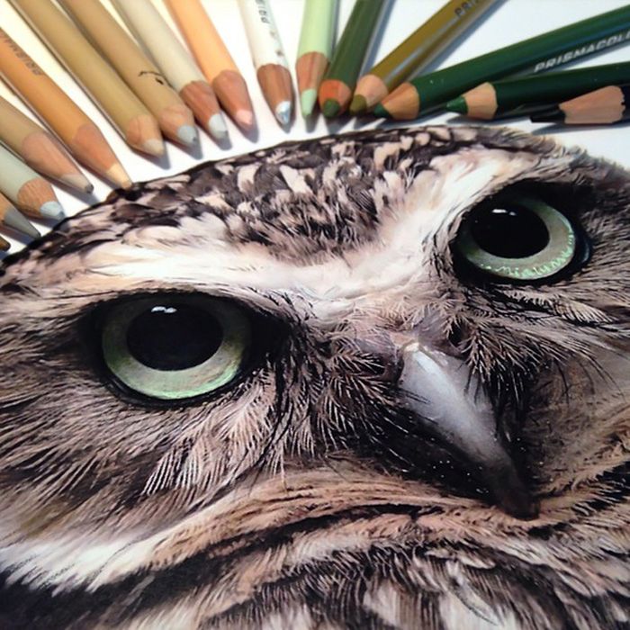 Photorealistic drawing illustrations and tools by Karla Mialynne