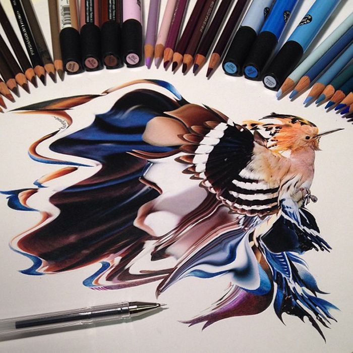 Photorealistic drawing illustrations and tools by Karla Mialynne