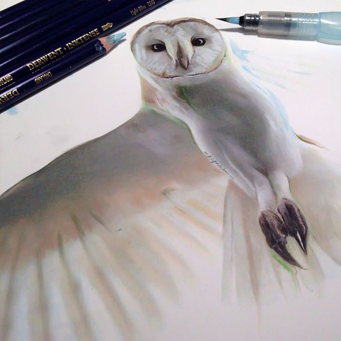 Photorealistic drawing illustrations and tools by Karla Mialynne