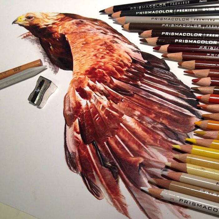 Photorealistic drawing illustrations and tools by Karla Mialynne