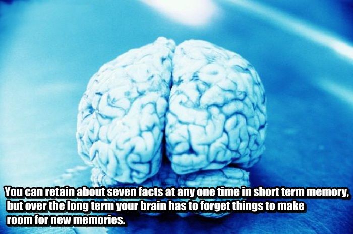 interesting facts about brain