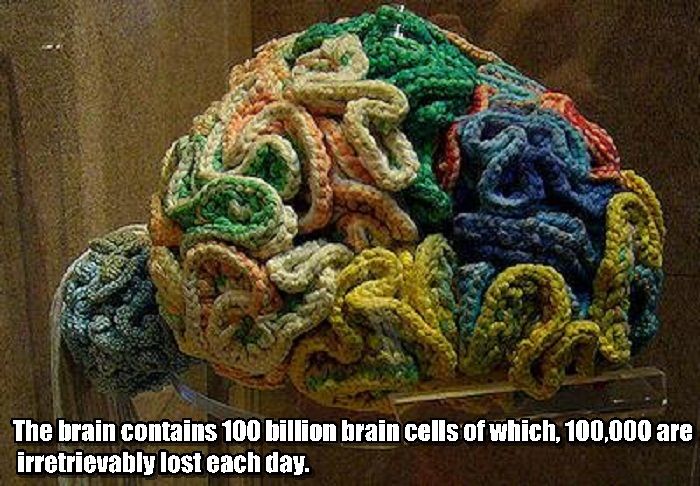 interesting facts about brain